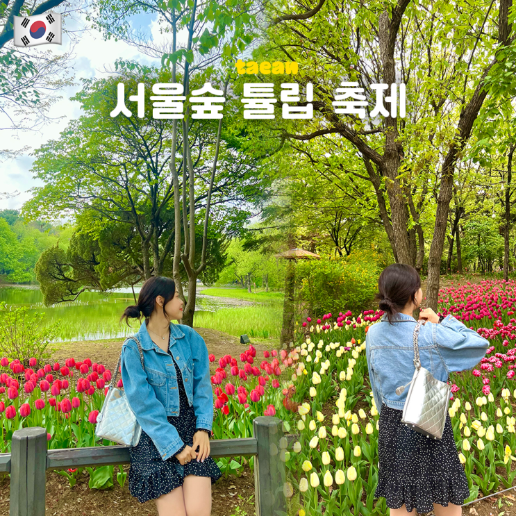  서울숲 튤립 축제 기간 위치 포토존 개화시기