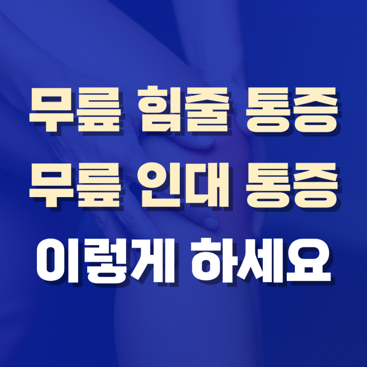  무릎 힘줄 통증인지, 무릎 인대 통증인지 이걸 아시면 됩니다