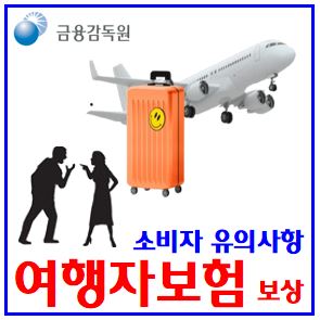  여행자보험 특약 유의사항 (ft. 보상 분쟁사례) : 실손의료비, 중복비례, 항공기지연결항, 체류비, 휴대품, 분실도난파손수리, 자기부담금공제, 예약취소손해, 수하물지연도착