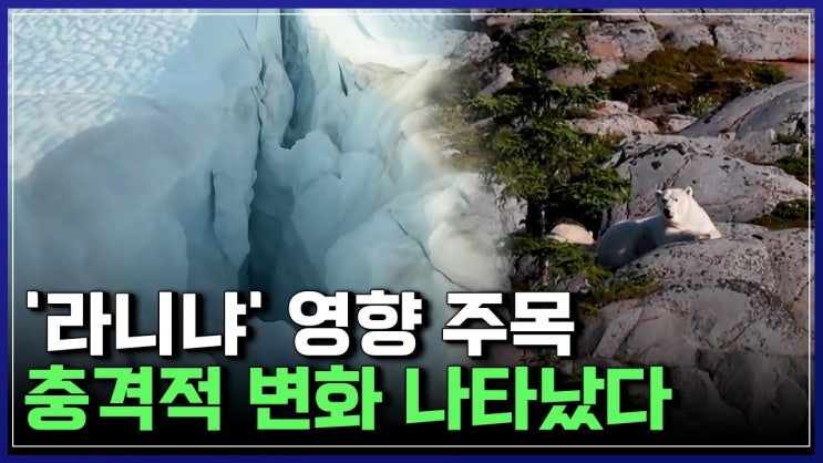 전 세계 과학자들, '라니냐' 영향 주목, 충격적 변화 나타나 '초비상' 전 세계 과학자들, '라니냐' 영향 주목, 충격적 변화 나타나 '초비상'