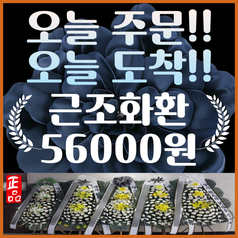 은골 사진 2