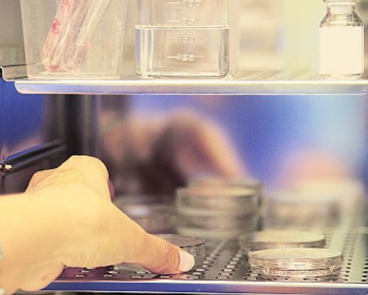 항암치료해서 불임 걱정"…정부, 난자·정자 냉동비 지원 항암치료해서 불임 걱정"…정부, 난자·정자 냉동비 지원