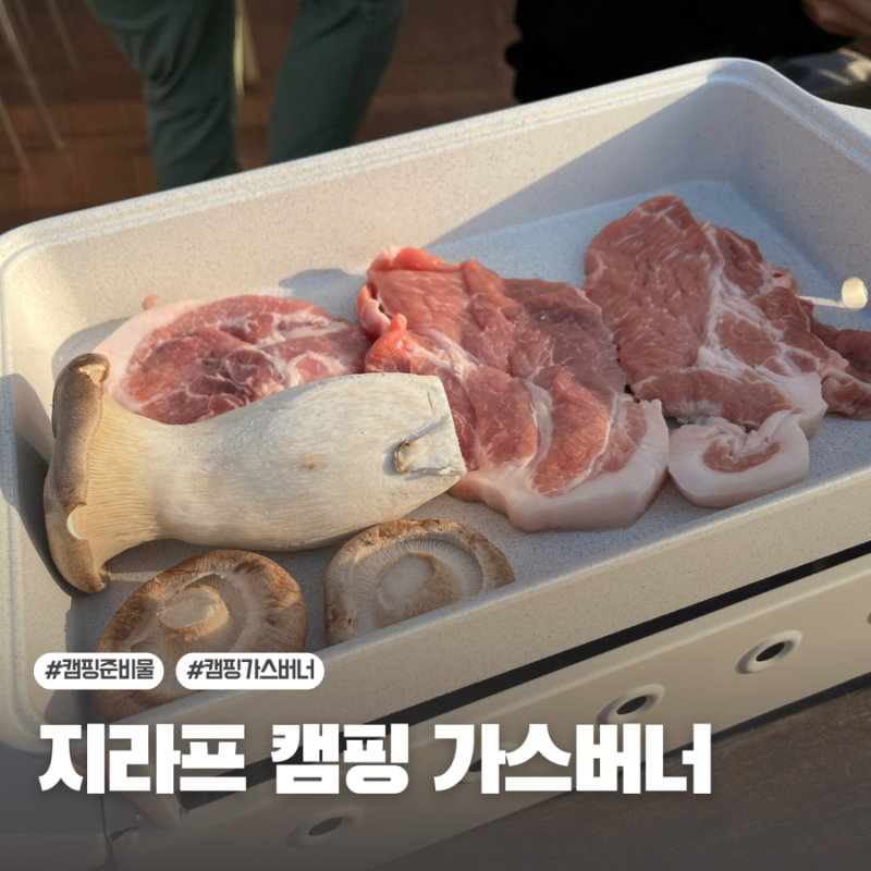 초보캠핑준비물 : 지라프 구이바다 캠핑 버너, 바베큐 가스그릴 추천