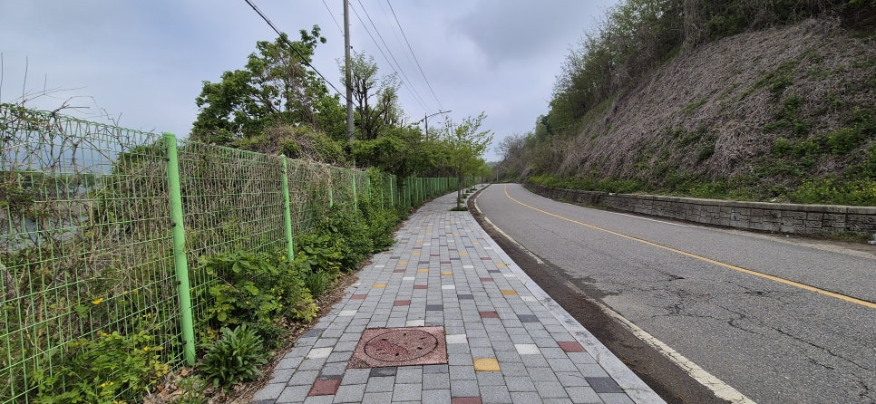 아래당미산 사진 4