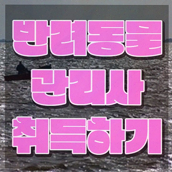  반려동물관리사 학원 , 반려동물관리사 자격증 직장인도 쉽게 취득한 정보
