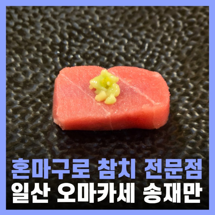  일산 오마카세 맛집 송재만 참치 혼마구로 내돈내산