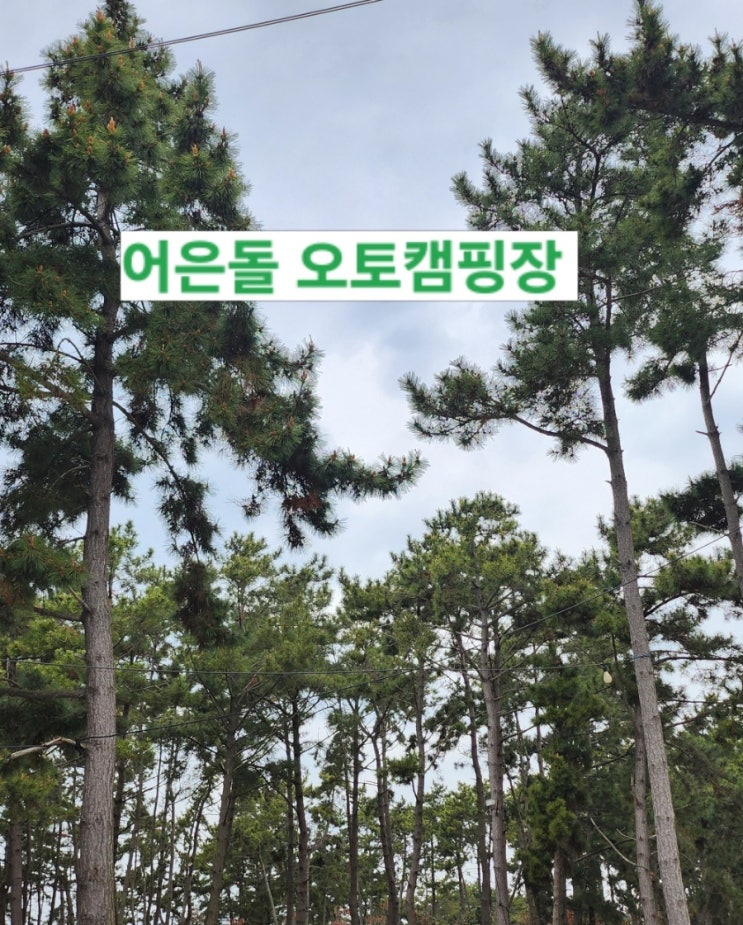 아이와함께 <b>해루질</b> 가능한 [<b>태안</b> 어은돌오토캠핑장] 솔직 후기