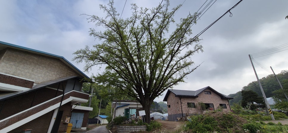 아래당미산 사진 5