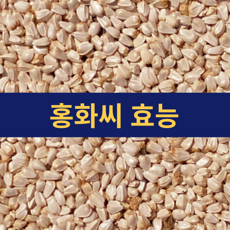  홍화씨효능 | 홍화씨기름 효능 | 홍화씨유 홍화씨 먹는 법