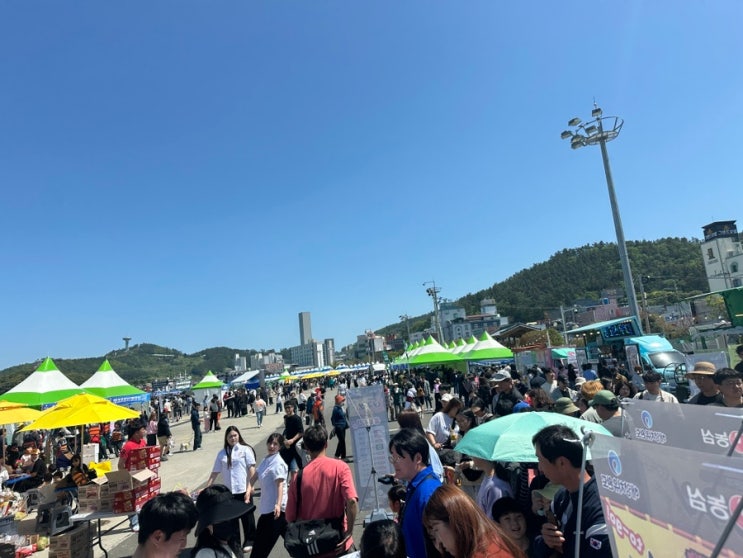  총총) 완도 장보고 수산물 축제 + 관광 다녀온 후기