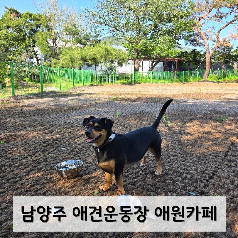 사진 4
