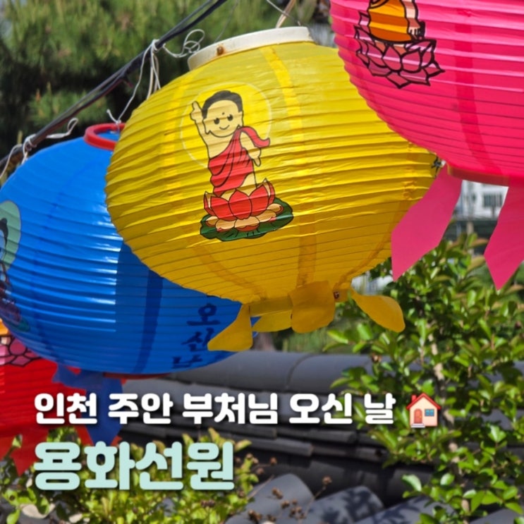 인천 주안 용화사 용화선원 부처님 오신날 정보 법회 공양 시간