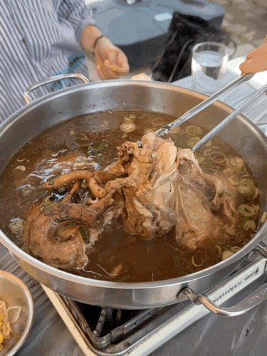  부산 애견동반 식당 옛살비 어버이날 식사