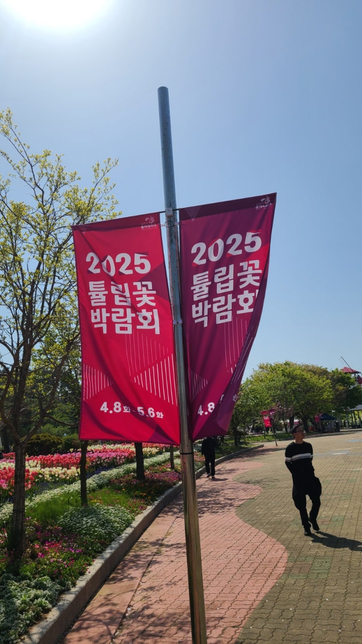  안면도 코리아플라워파크 다녀왓어용~ (튤립축제)
