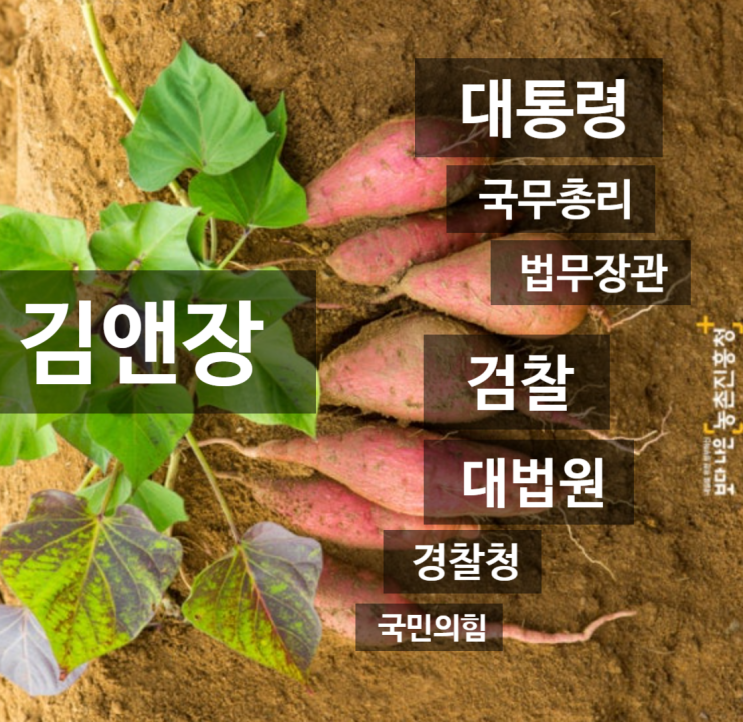 사법카르텔 완성, 검사 판사 변호사, 그들의 오랜 커넥션 역사... 