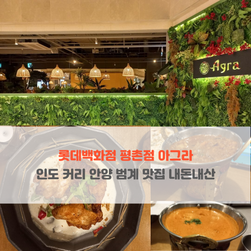  롯데백화점 평촌점 아그라 인도 커리 안양 범계 맛집 내돈내산
