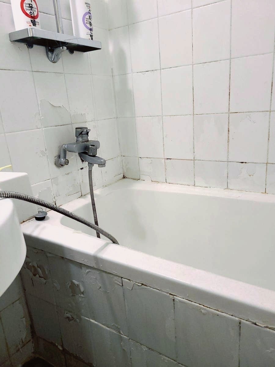 스타무인텔 사진 1