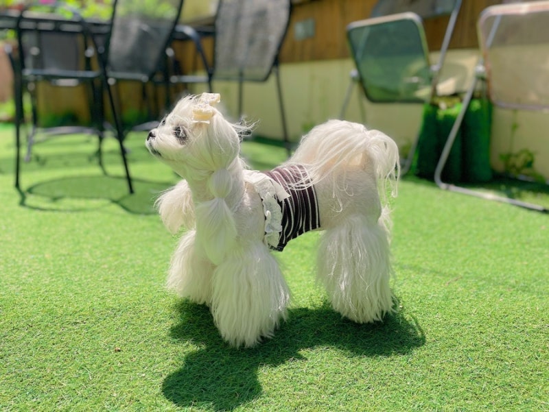사진 4