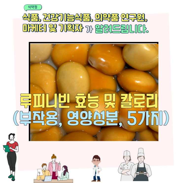  루피니빈 효능 및 칼로리 (부작용, 영양성분, 5가지)