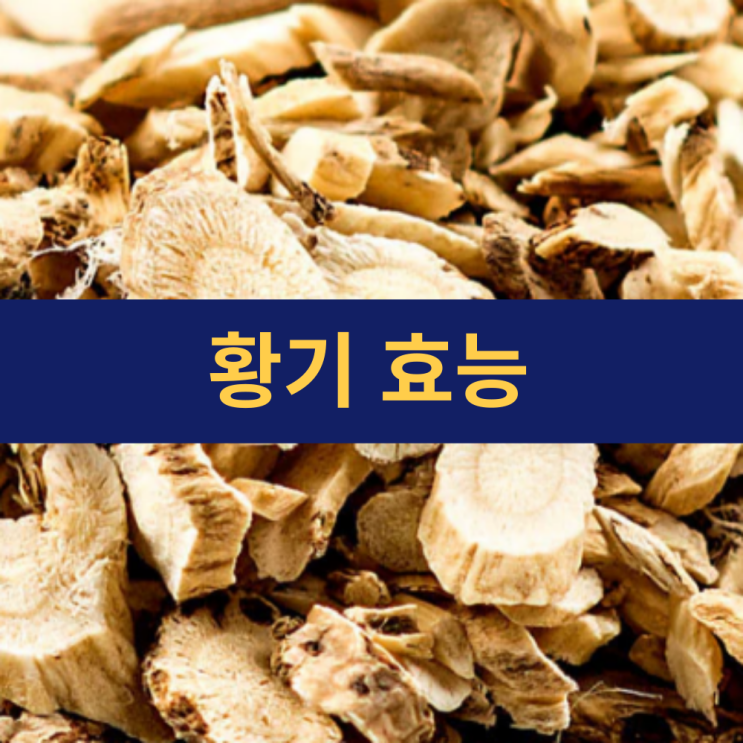  황기효능 | 황기차 효능 | 끓이는 방법