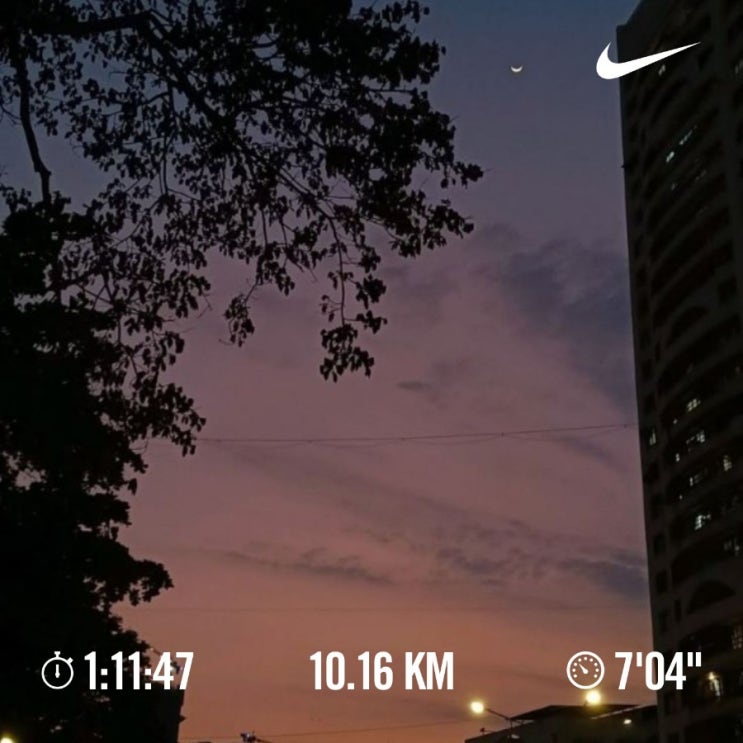 매일 10km 러닝 챌린지 1364일 차