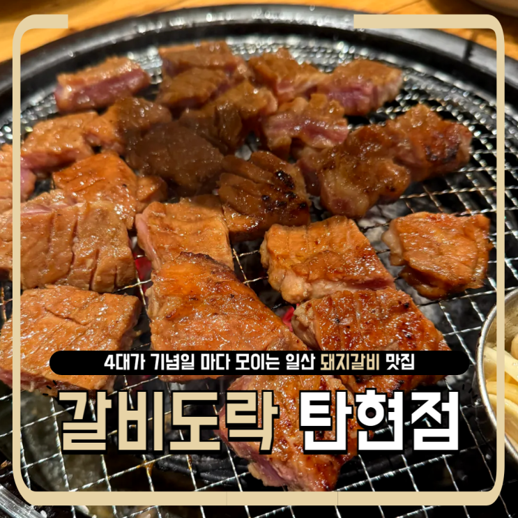  일산 탄현 고깃집｜가족모임에 딱! 갈비도락 탄현점 내돈내산 후기
