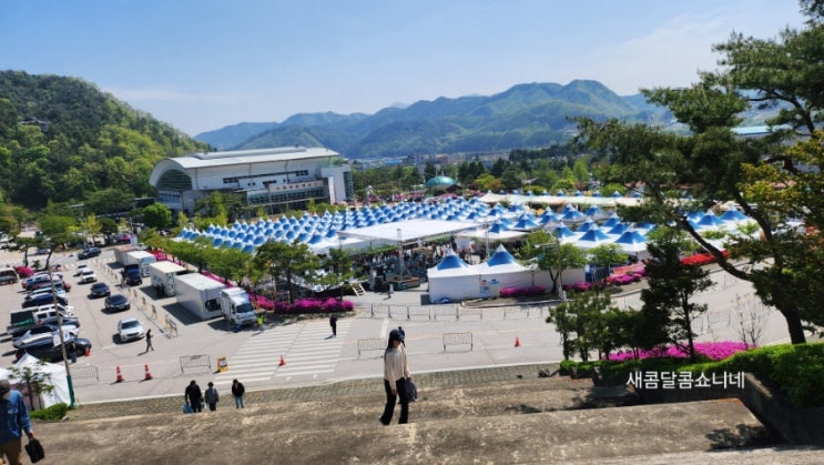  2025 홍천 산나물축제 실시간 후기️