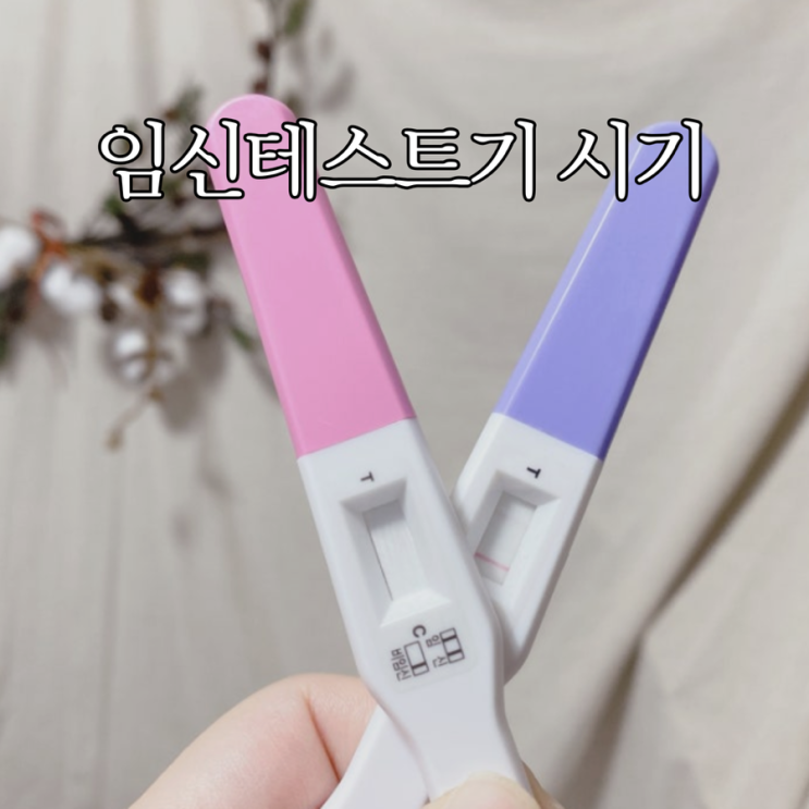  임신테스트기 사용시기와 정확한 사용법 희미한 두 줄 해석까지
