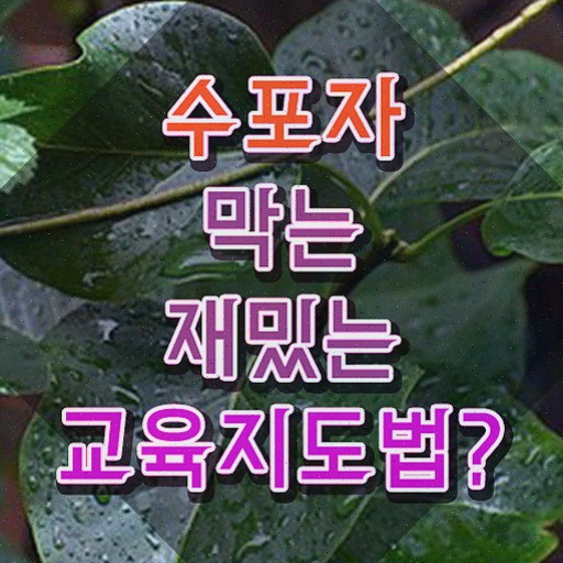 스토리텔링수학지도사 전문가 , 합격한 전략