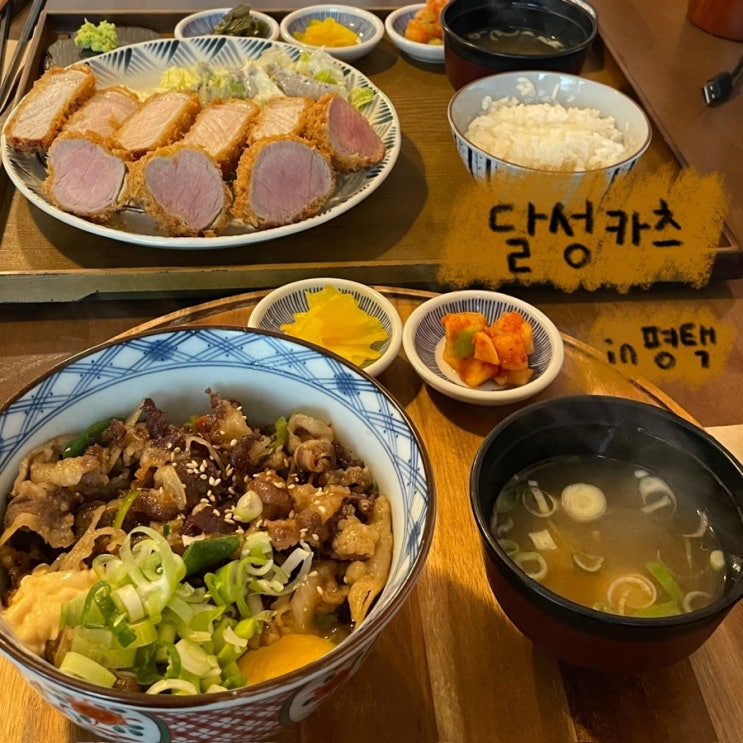  평택 고덕 맛집 바삭한 카츠 맛집 ‘달성카츠’ 후기