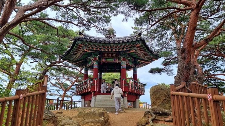 양양 하조대, 죽도정 산책