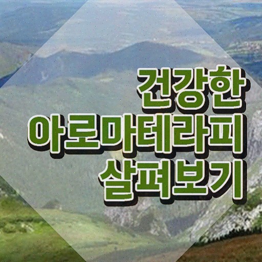  아로마뷰티diy지도사 무료 인강 , 아로마뷰티DIY지도사 자격증 비용없이 온라인으로 합격한 전략