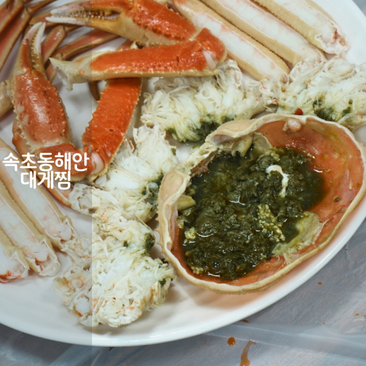  속초 동해안 대게찜 속초대게 게딱지볶음밥 대게라면 맛집