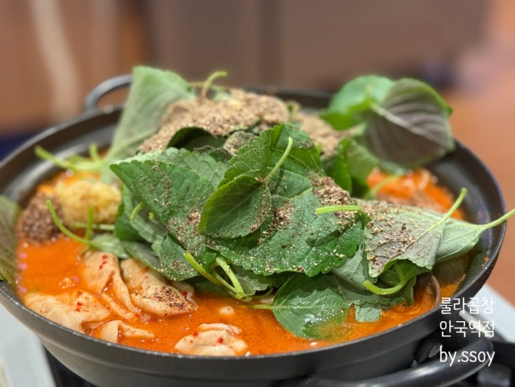  [안국역 맛집] 돼지곱창 전골, 롤라곱창 안국역점 솔직 리뷰!