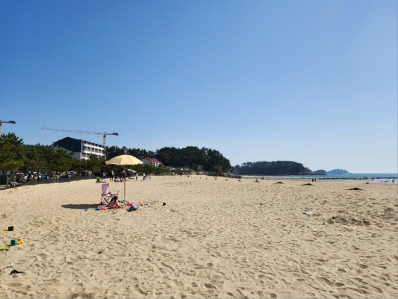 사진 6