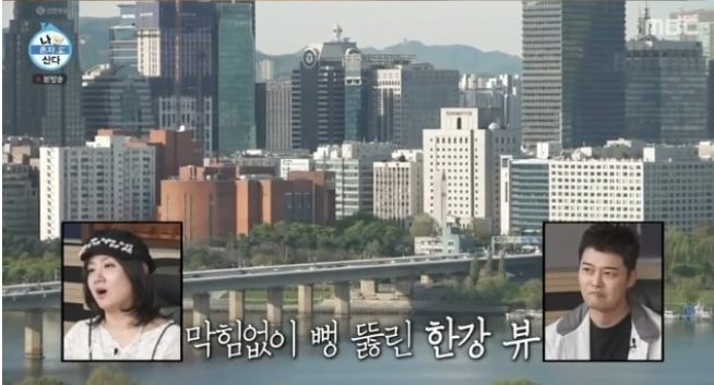  나혼자산다 임우일 한강뷰 자취집 공개 고양이 집사 사람냄새 나는 일상