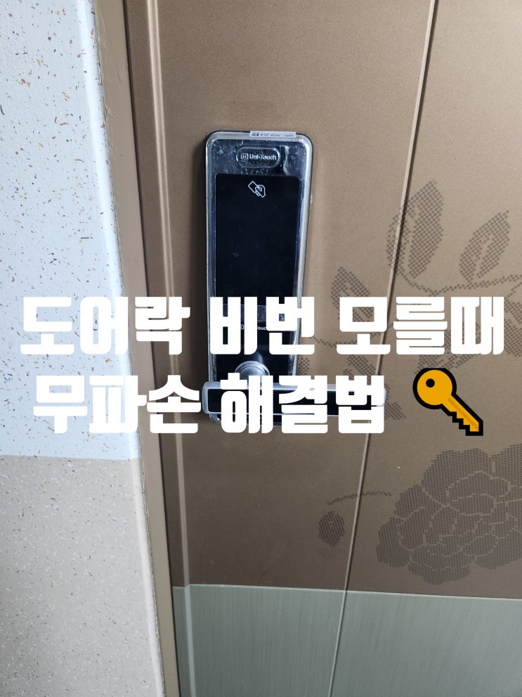  도어락 비번 모를때 틀렸을때 무파손 집 못 들어갈 걱정 해결! 고양시 원흥동 열쇠