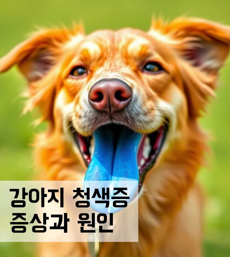  강아지 청색증 혀가 파래지는 증상 원인 및 대처법