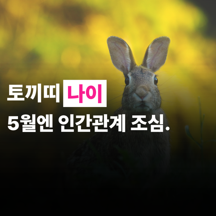  토끼띠 나이, 2025년, 5월 운세, 사람 조심해야하는 달