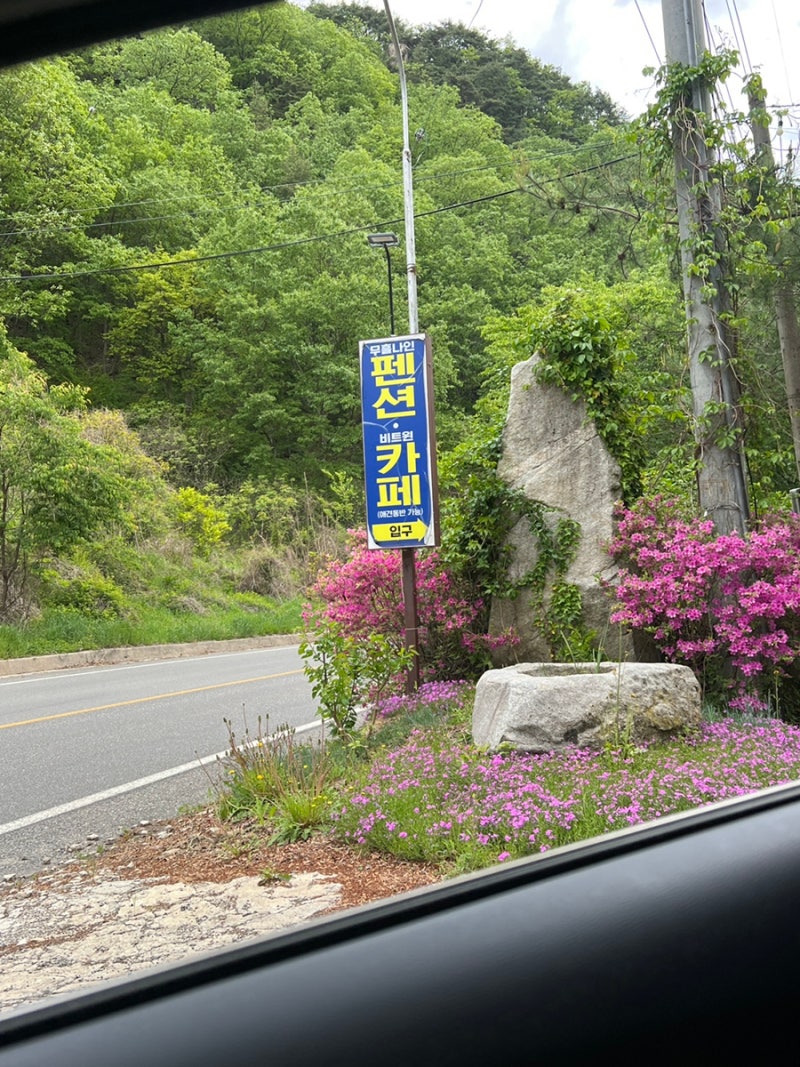 사진 3
