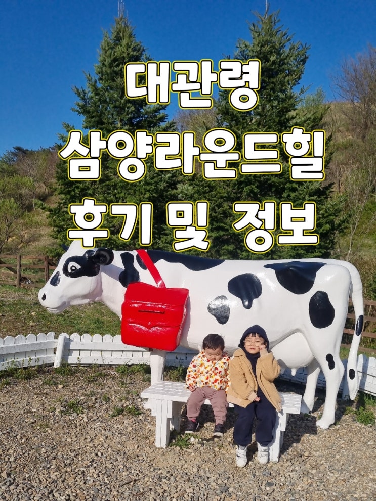  대관령 삼양라운드 힐 양떼몰이공연, 아름다운 광경에 감탄했던 하루