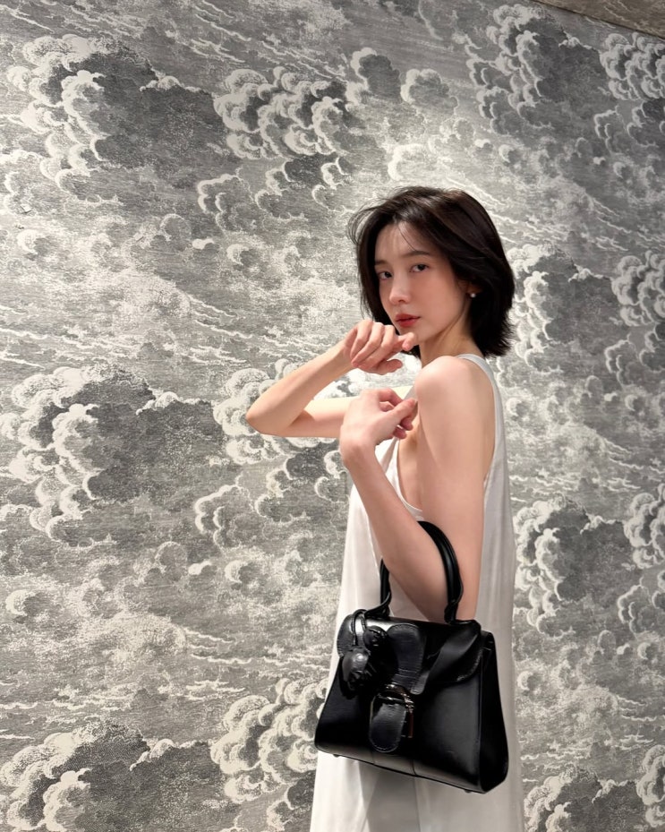  30대 여성의 결혼 예물 핸드백으로 사랑받는 럭셔리 명품 브랜드 델보 브리앙 여자 가방 ft. 박지현