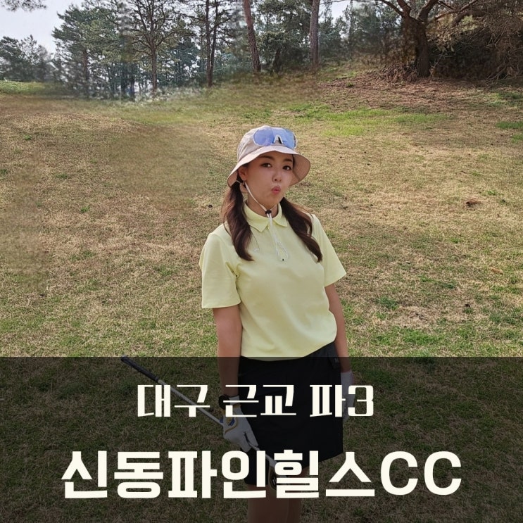  대구 근교 칠곡 파3골프장 신동파인힐스cc 연습 라운드