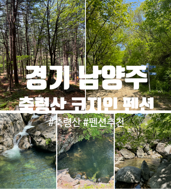  남양주 축령산 숙소 진심 추천, 자연 속 힐링여행, '코지인 펜션' 후기