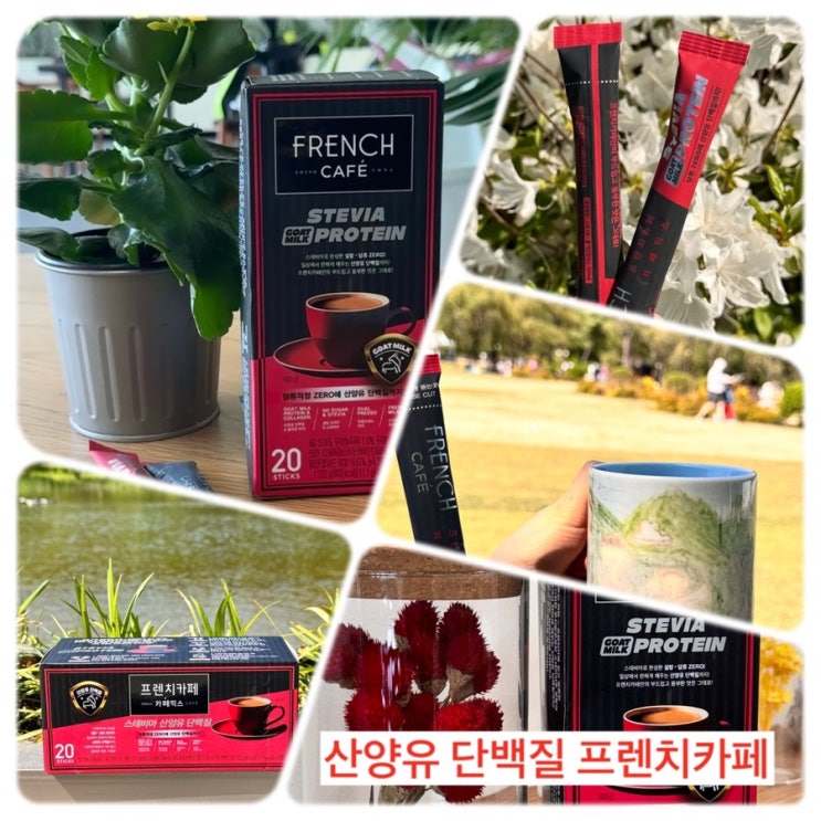  [프렌치 스테비아]건강을 위한 나의 초이스 단백질커피 후기