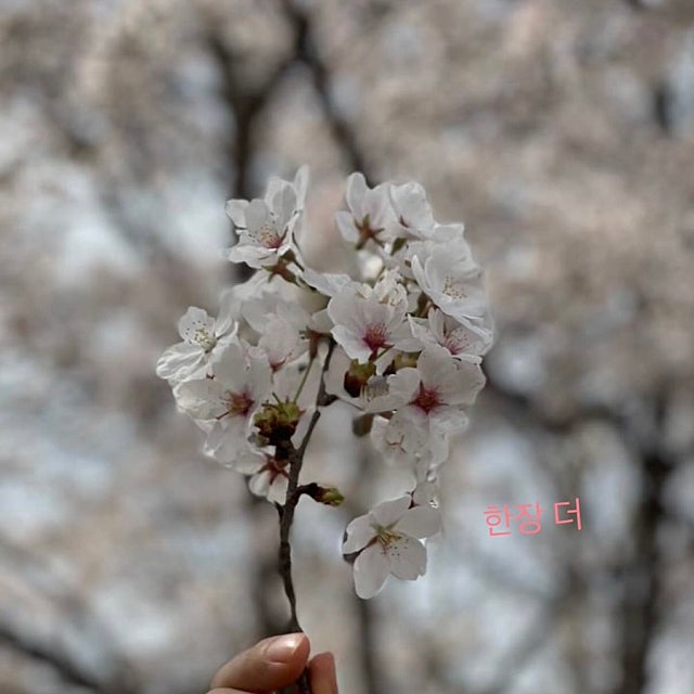 News image: Tae on vacation