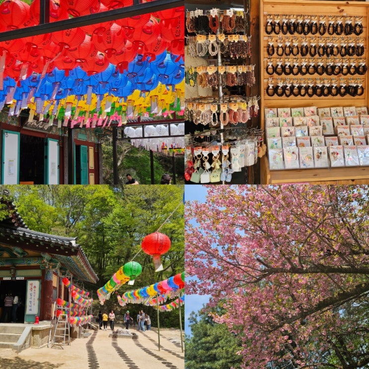  석가탄신일 가볼만한곳 경주 석굴암 겹벚꽃 5월 전국 유명한 절 사찰여행