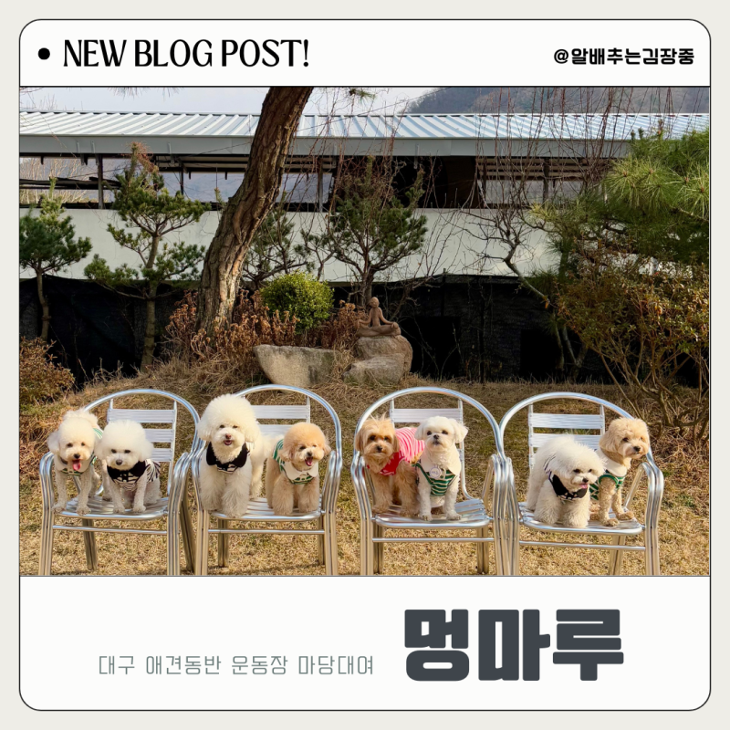 사진 3