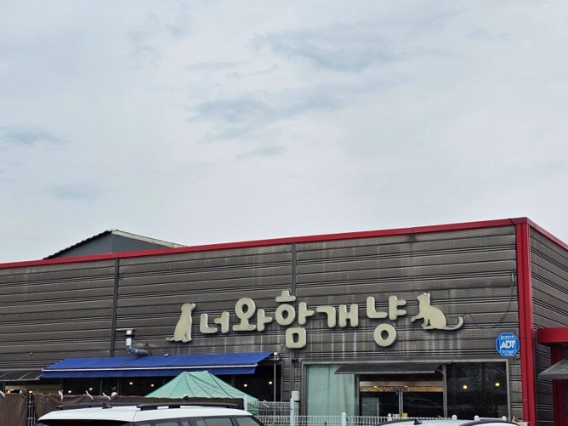 사진 2