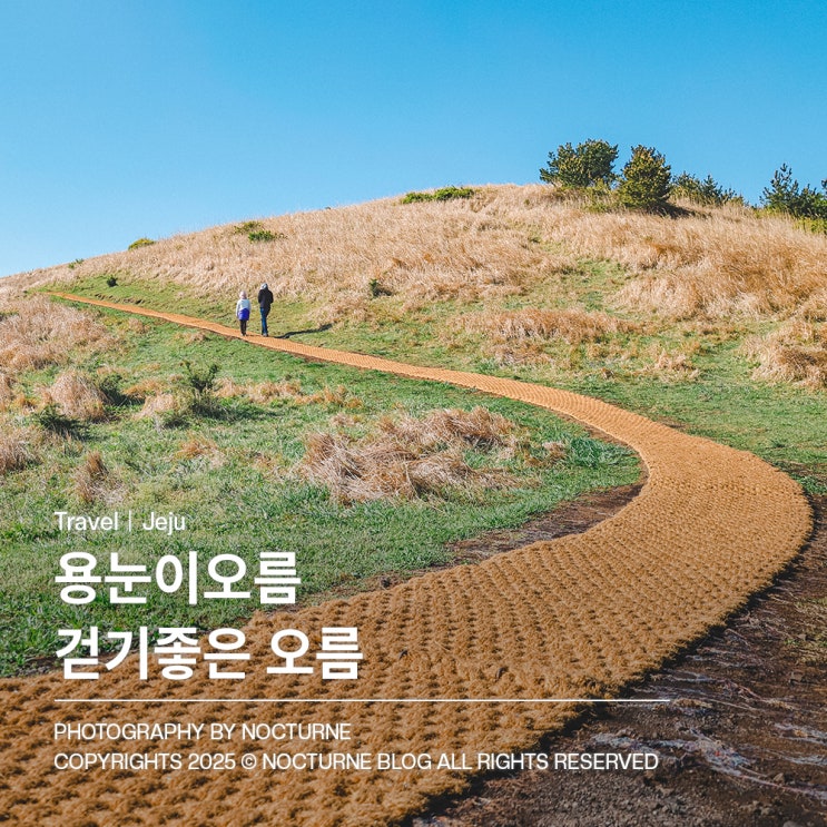  제주도 가볼만한 곳 : 용눈이오름 걷기 좋은 제주도 오름 주차정보